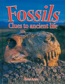 Fossils by Rona Arato