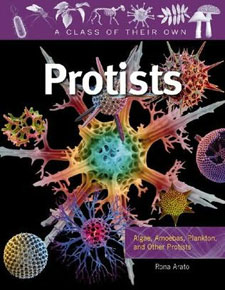 Protists by Rona Arato